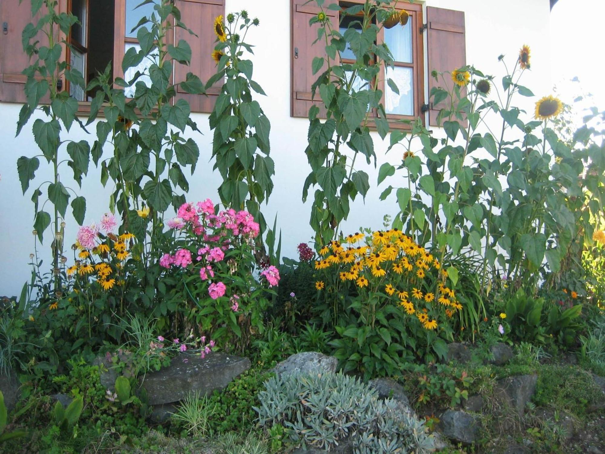 Apartment In The Allg U With View Of The Bavarian Alps Bernbeuren ภายนอก รูปภาพ