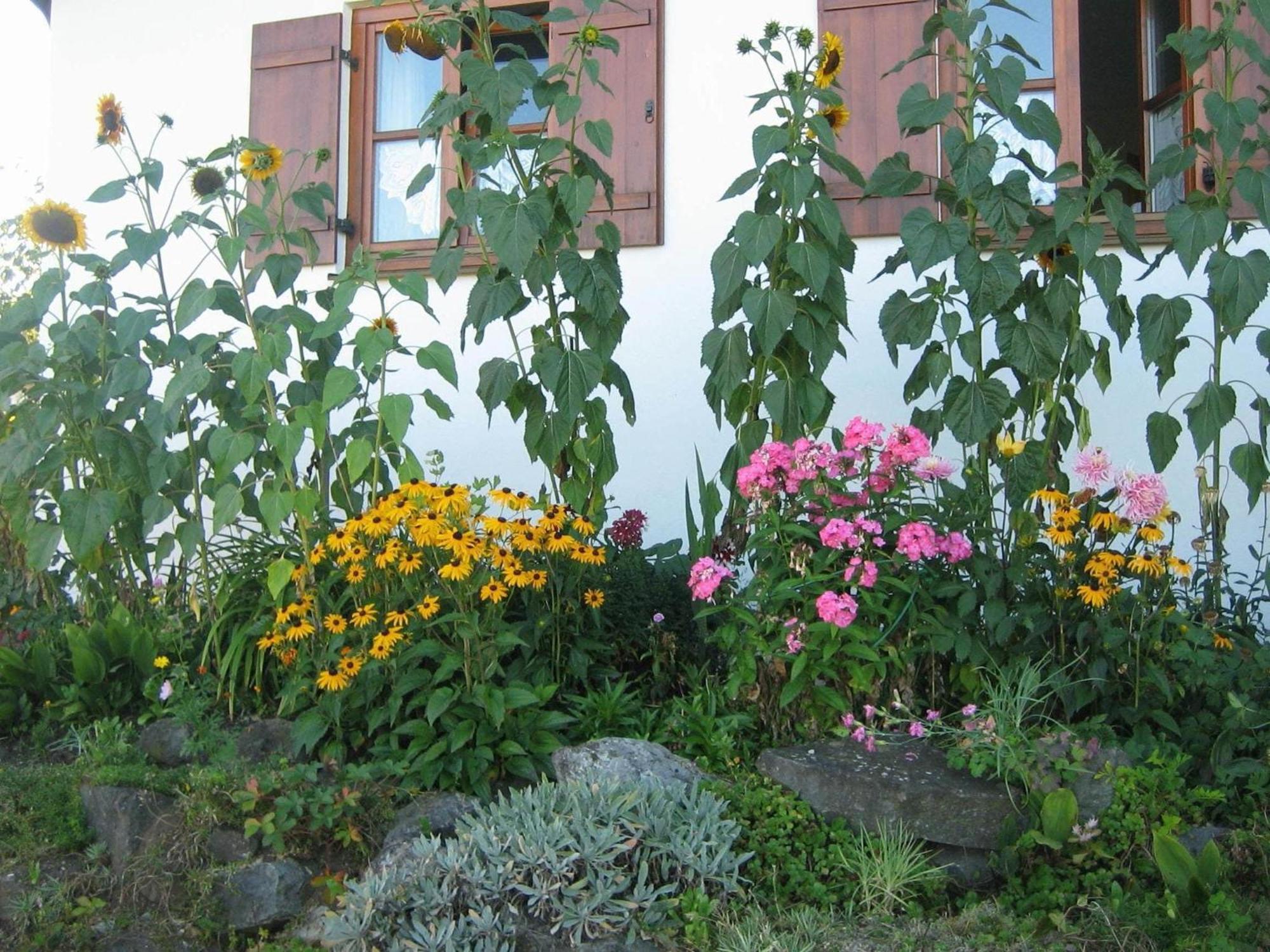 Apartment In The Allg U With View Of The Bavarian Alps Bernbeuren ภายนอก รูปภาพ